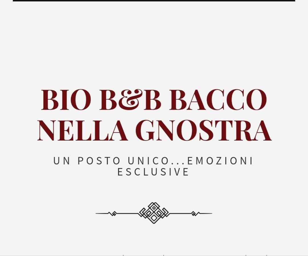 Bio B&B Bacco Nella Gnostra Altamura Exterior foto